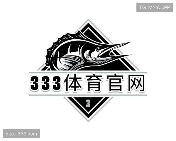 关于333体育